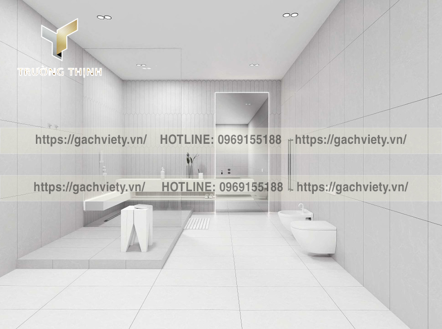 Chọn Gạch: Tránh Sai Lầm & Khắc Phục Hiệu Quả | Trường Thịnh